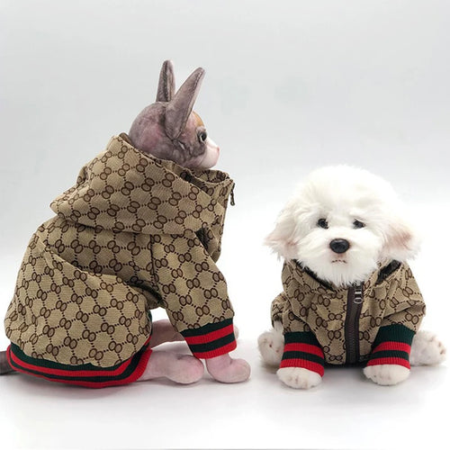 Autumn  Winter Pet Jacket Kitten Clothing Puppy Coat Bulldog corgi Shiba Dog Fashion Windbreaker Designer Luxury Dog Clothes